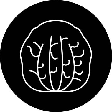 Radicchio simge vektör illüstrasyonu