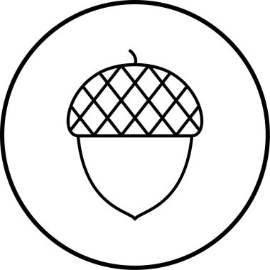 Bir palamut simgesinin vektör illüstrasyonu