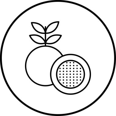 meyve ikonu vektör illüstrasyonu