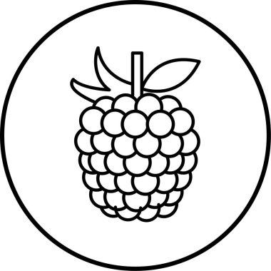 Tek bir üzüm simgesinin vektör çizimi
