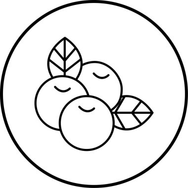 meyve ikonu vektör illüstrasyonu