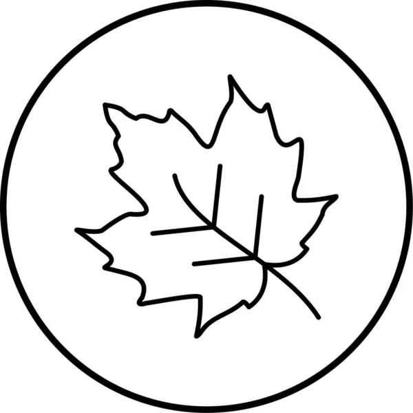 Maple Leaf Ikon Vektorillustration — Stock vektor