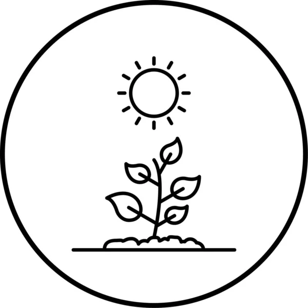 Plant Grow Icon Vector Illustration — Stock Vector