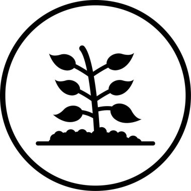 bitki vektörü simgesi modern çizgi