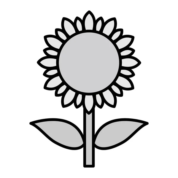 Desain Ikon Glyph Bunga Matahari - Stok Vektor