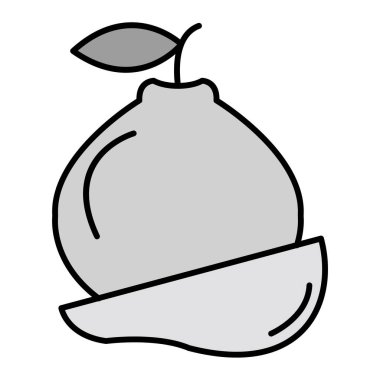 Quince modern simge vektör çizimi