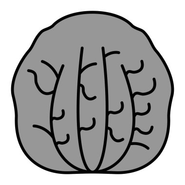 Radicchio modern simge vektör çizimi