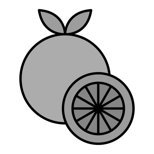 グレープフルーツのモダンなアイコンベクトルイラスト — ストックベクタ