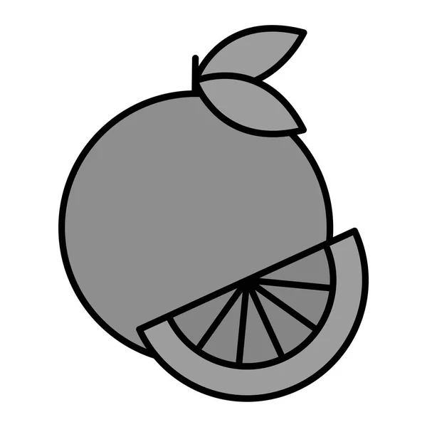 Pomelo Modern Icon Vector Illustration — Stok Vektör