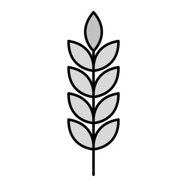Buğday ikonu. Bitki vektörünün ana hatları. izole kontur tasarımı.