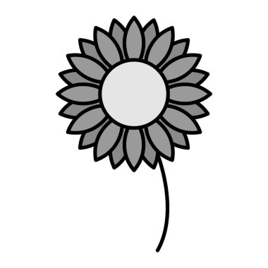 Çiçek ikonu. Beyaz arkaplanda ayçiçeği vektör çizimi