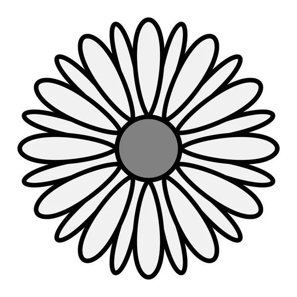 Çiçek ikonu. Ayçiçeği vektörünün basit bir gösterimi. izole kontur sembolü