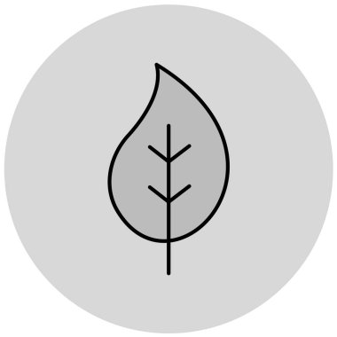 Yaprak. Web simgesi basit illüstrasyon