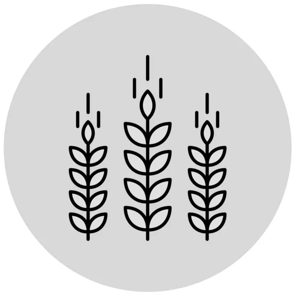Pšenice Webová Ikona Jednoduchá Ilustrace — Stockový vektor