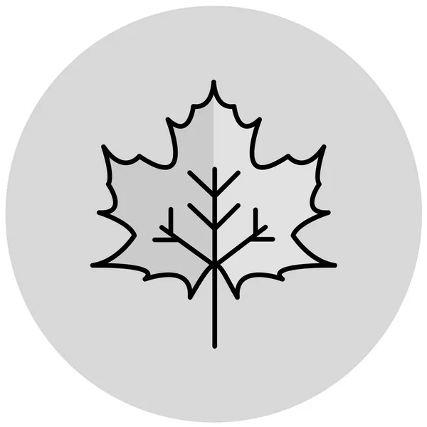Maple Leaf Ikona Ilustracja Wektorowa — Wektor stockowy