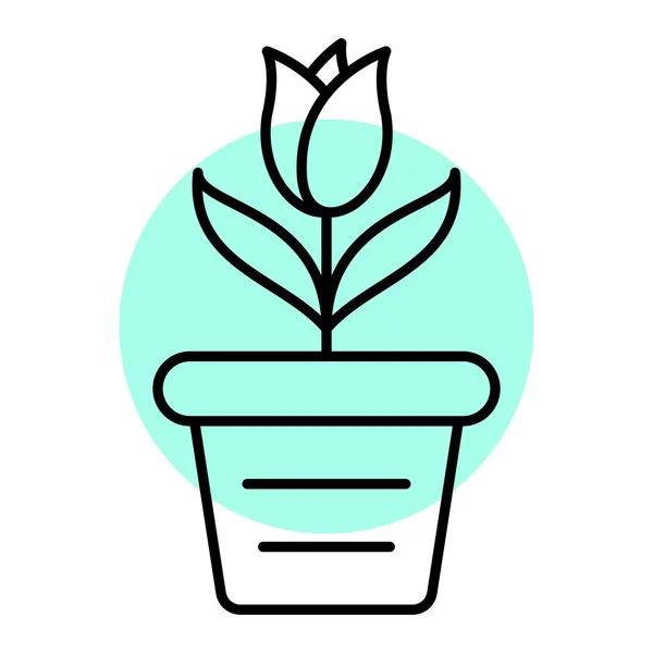 Virágcserép Növényi Vektor Illusztráció Tervezés — Stock Vector