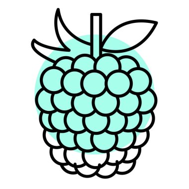 Ahududu meyvesi ikonu. Ana hatlarıyla ahududu vektör çizimi. beyaz arkaplanda izole