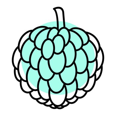 El çizimi üzümler. vektör illüstrasyonu.
