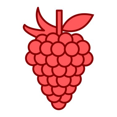 kırmızı ahududu meyve ikonu. vektör çizimi tasarımı