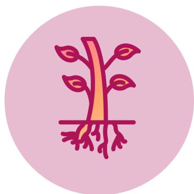 Kökler web simgesi, vektör illüstrasyonu