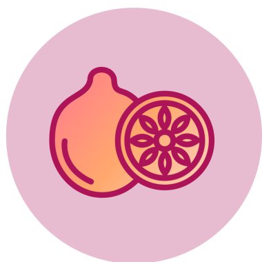 Kivi simgesi, vektör illüstrasyonu