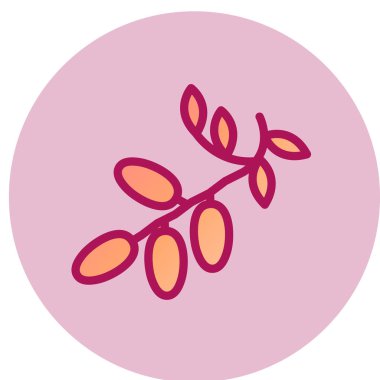 Zeytin simgesi, vektör illüstrasyonu