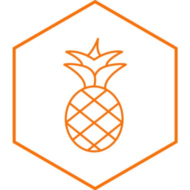 ananas vektör simgesi modern illüstrasyon