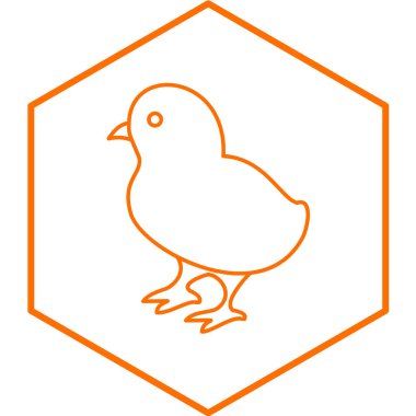 Piliç simgesi. Web için tavuk vektör simgelerinin özet çizimi