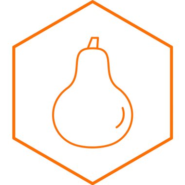 Su kabağı simgesi. turuncu ana hat sembolü. vektör illüstrasyonu.