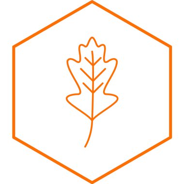 Meşe yaprağı ikonu vektör çizimi