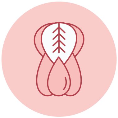 meyve simgesi, basit tasarım vektör illüstrasyonu