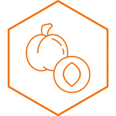 Kayısı simgesinin vektör illüstrasyonu