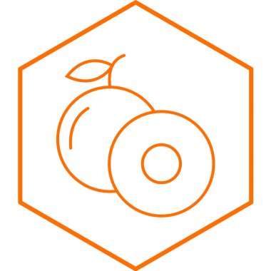 Longan simgesi beyaz arkaplanda izole edildi. vektör illüstrasyonu