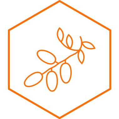 Zeytin simgesinin vektör illüstrasyonu