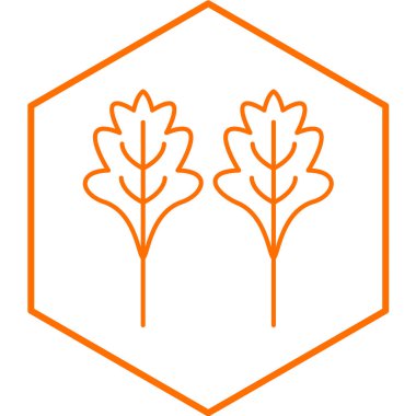 Arugula simgesinin vektör illüstrasyonu