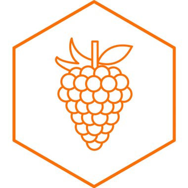 üzüm ikonu vektör illüstrasyonu