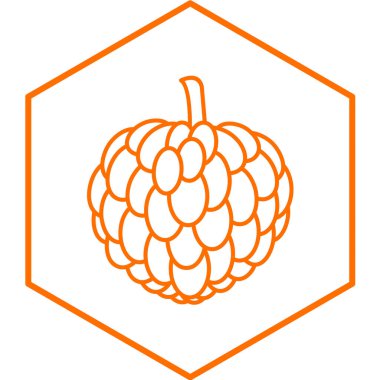 Custard Apple 'ın vektör illüstrasyonu