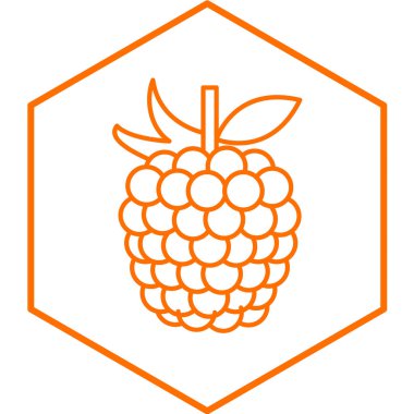 üzüm ikonu vektör illüstrasyonu