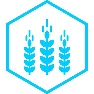 Bir buğday simgesinin vektör illüstrasyonu