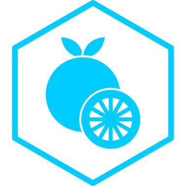 Limon ve meyve simgesi portakalının vektör çizimi 