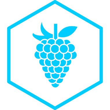 Üzüm simgesi üzümlerinin vektör çizimi 