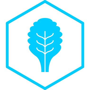 Yaprak simgesinin vektör illüstrasyonu