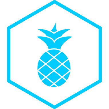 ananas ikonu vektör illüstrasyonu