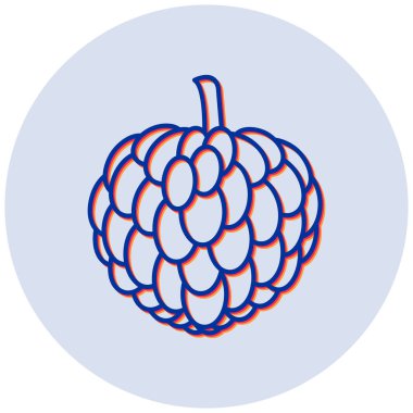 Custard Apple 'ın vektör illüstrasyonu