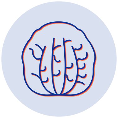 Radicchio simgesinin vektör illüstrasyonu