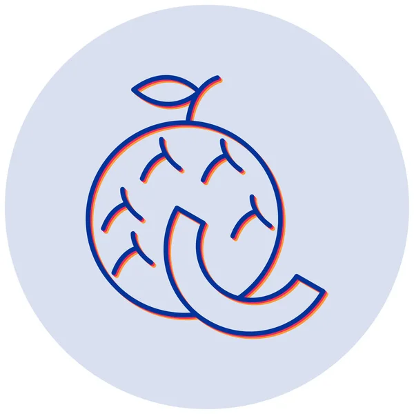 Vector Illustration Cantaloupe Icon — Stock Vector