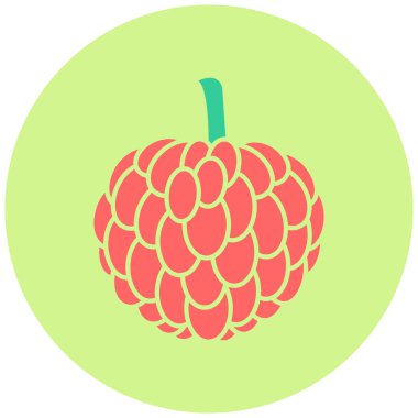 Custard Apple 'ın vektör illüstrasyonu