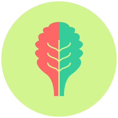 Ispanak. Web simgesi basit illüstrasyon