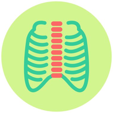 Xray vektör resimleme