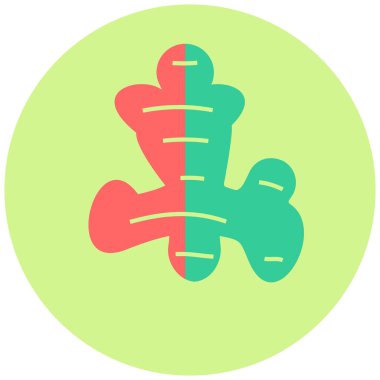 Ginger simgesi, vektör illüstrasyonu